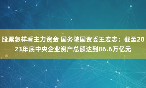 股票怎样看主力资金 国务院国资委王宏志：截至2023年底中央企业资产总额达到86.6万亿元