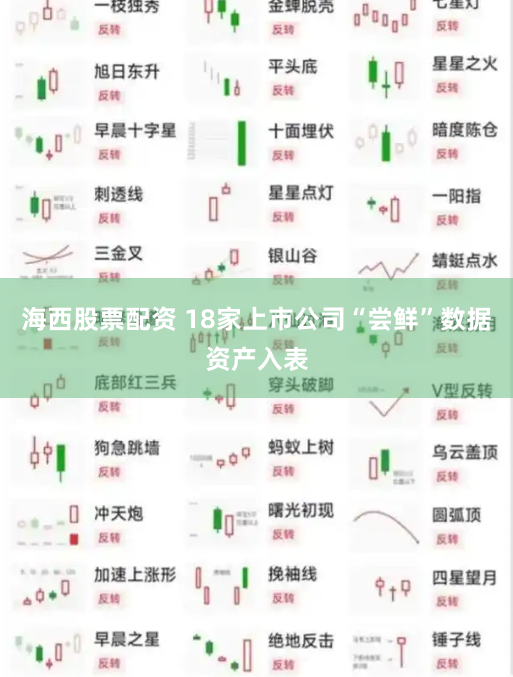 海西股票配资 18家上市公司“尝鲜”数据资产入表