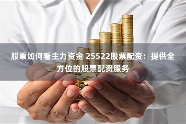 股票如何看主力资金 25522股票配资：提供全方位的股票配资服务