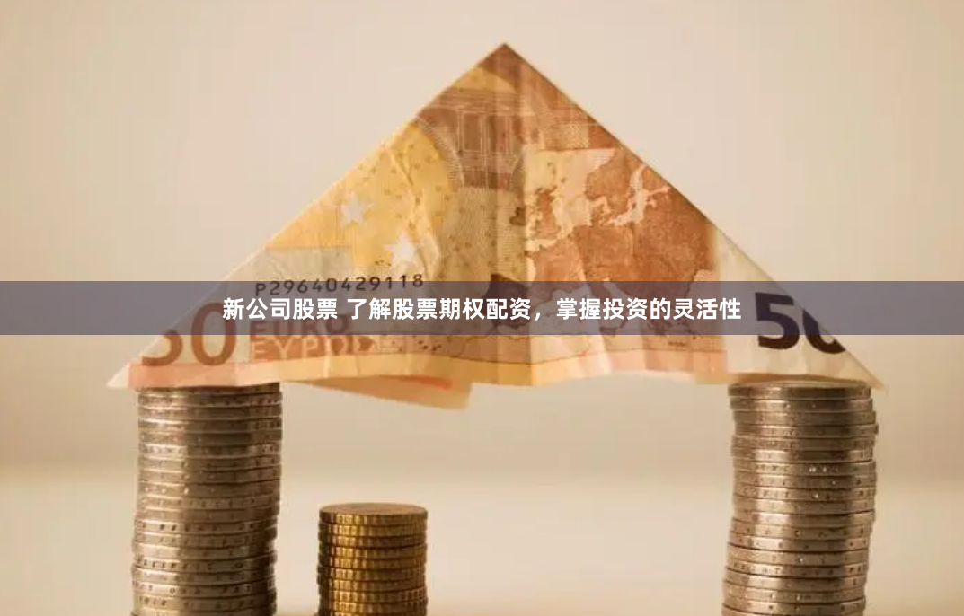 新公司股票 了解股票期权配资，掌握投资的灵活性